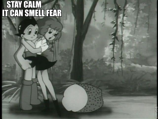 smell fear.jpg